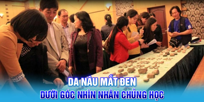 Da nâu, mắt đen dưới góc nhìn nhân chủng học